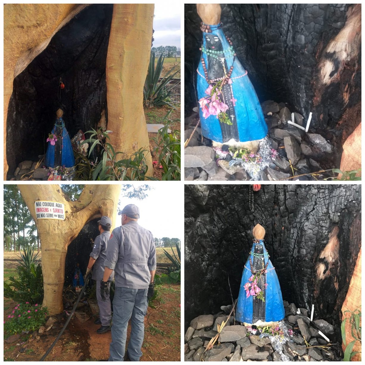 ‘Árvore da Santa’ na Pista de Caminha pega fogo